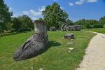 2025 06 08 Marais Poitevin 109